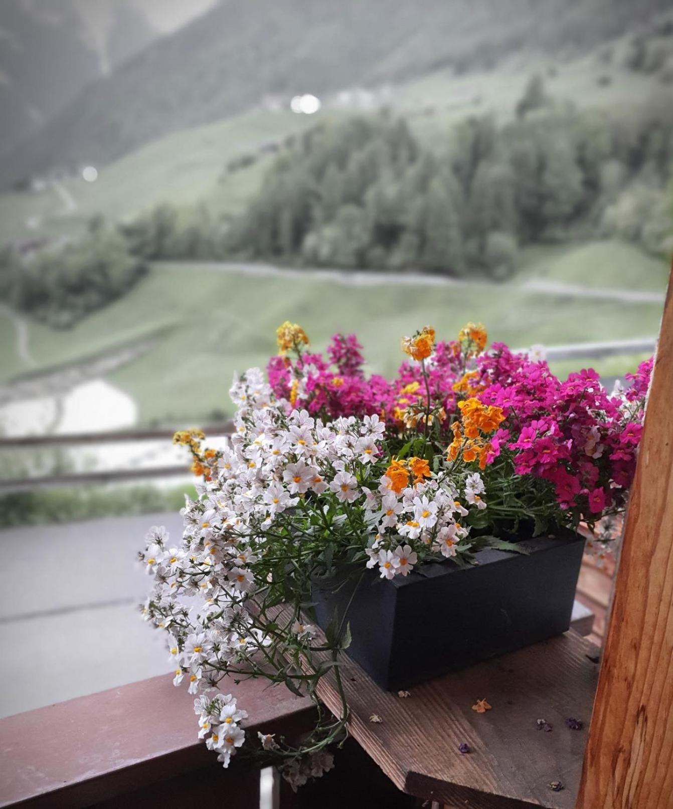 Wascherhof - Ferienwohnungen Oberhofer Martell Exteriör bild